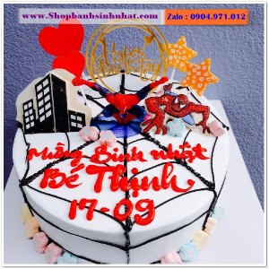 Bánh Sinh Nhật Siêu Nhân - US52